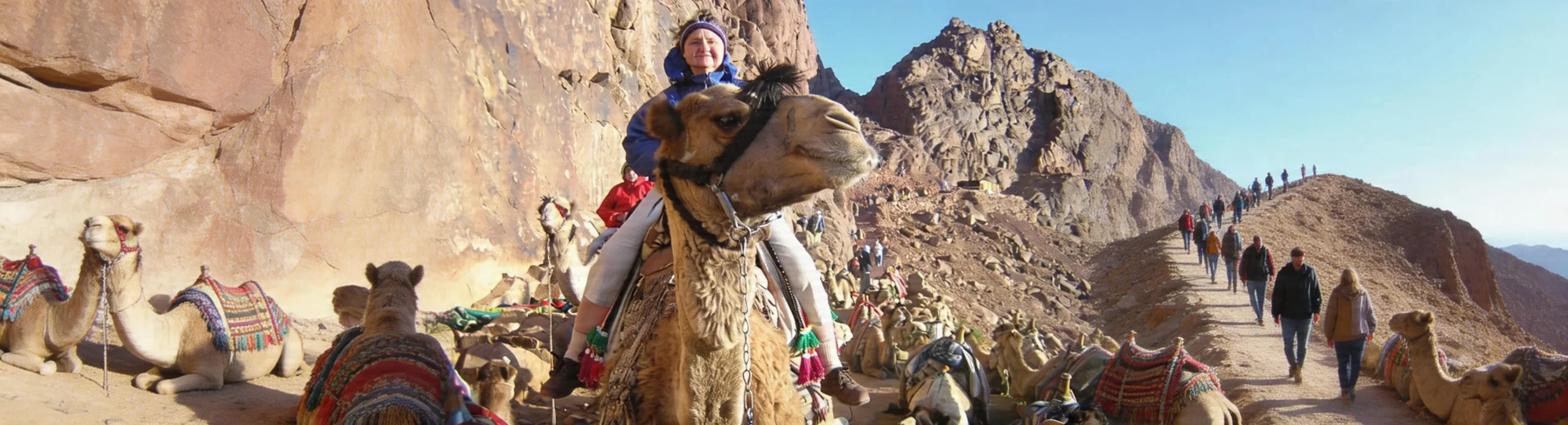 camel-mom-egypt